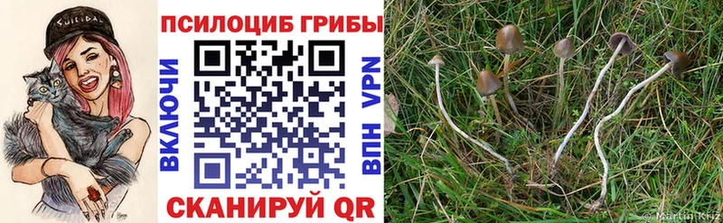 Галлюциногенные грибы ЛСД  наркотики  Сим 